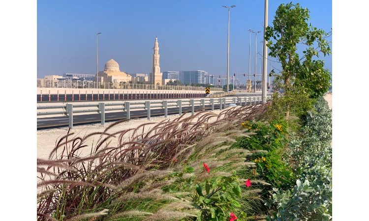 Diyar Al Muharraq Announces the Completion of the Landscaping Project at the City’s Entrance